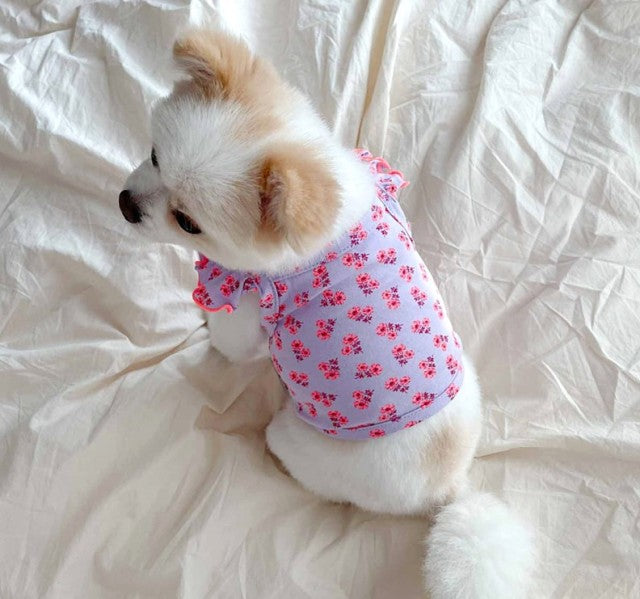 Summer Pet Casual Wear Puppy Dog Clothes Poodle Teddy Bichon Dog Cat Pomeranian Yorkshire Terrier Schnauzer Small Dogs Clothing